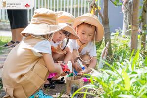 Khi trường học gieo những hạt mầm xanh