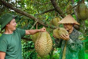 Bộ Nông nghiệp và Môi trường: Đơn giản hóa thủ tục hành chính về mã số vùng trồng