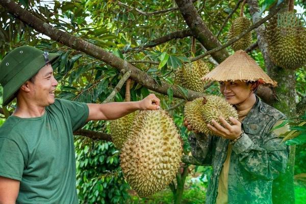Bộ Nông nghiệp và Môi trường: Đơn giản hóa thủ tục hành chính về mã số vùng trồng