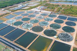 Cà Mau đặt mục tiêu đạt 4 tỷ USD kim ngạch xuất khẩu vào năm 2030