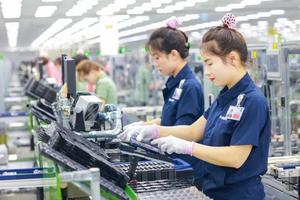 Nhu cầu tuyển dụng lao động đa dạng, duy trì ở mức cao