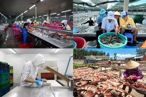 Cà Mau: Nghị quyết 68 tạo động lực cho kinh tế tư nhân phát triển