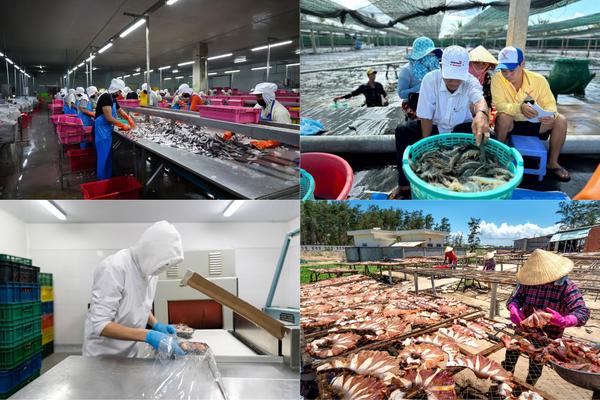 Cà Mau: Nghị quyết 68 tạo động lực cho kinh tế tư nhân phát triển