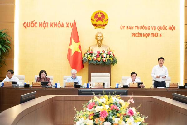 Đề xuất cấm cá nhân trúng đấu giá rồi “bỏ cọc” tham gia đấu giá quyền sử dụng đất ở