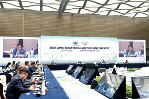 Hội nghị Bộ trưởng Lâm nghiệp APEC 2026: Việt Nam chia sẻ kinh nghiệm quản lý rừng bền vững