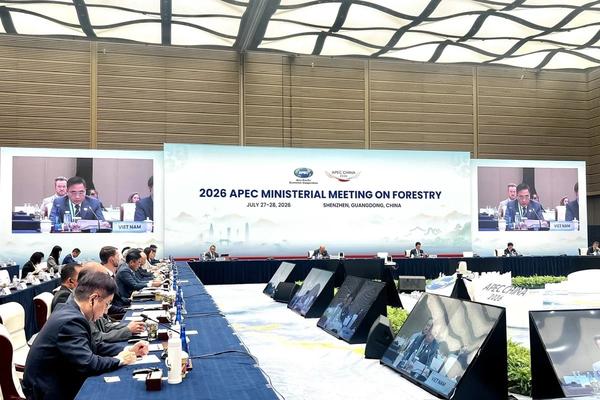 Hội nghị Bộ trưởng Lâm nghiệp APEC 2026: Việt Nam chia sẻ kinh nghiệm quản lý rừng bền vững