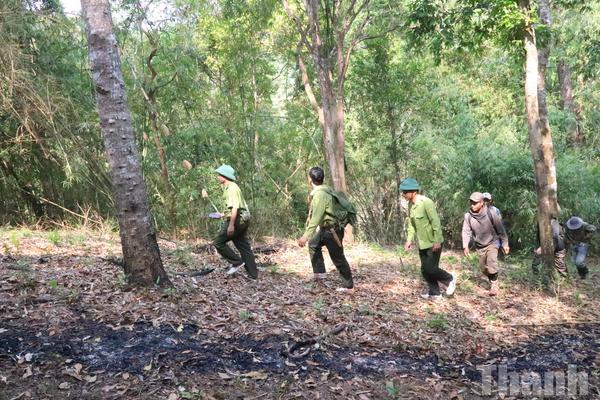 Chung tay giữ rừng - Giữ tương lai xanh cho Đắk Lắk