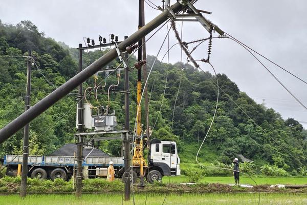 Tổng Công ty Điện lực miền Bắc chủ động bảo vệ sức khỏe người lao động trong mùa mưa bão