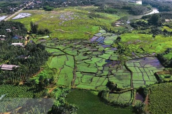 Quảng Trị: Nhiều sai phạm về tài chính tại xã Cồn Tiên sau sáp nhập