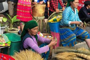 Thúc đẩy phát triển bao trùm, bền vững vùng đồng bào dân tộc thiểu số