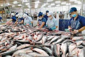 Xuất khẩu thủy sản hướng tới mốc 11 tỷ USD: Nhiều thách thức cho nửa cuối năm