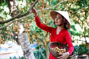 Mở "Chiến dịch 30 ngày" giải quyết vướng mắc trong cấp và quản lý mã số vùng trồng