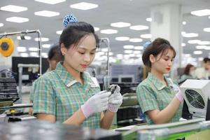 Nâng cao tay nghề, mở lối cho việc làm bền vững