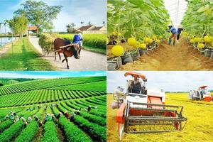 7 tháng giải ngân 94,08 tỷ đồng, đề xuất gộp 4 chương trình