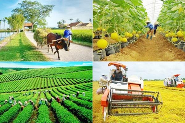 7 tháng giải ngân 94,08 tỷ đồng, đề xuất gộp 4 chương trình