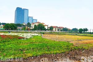 Giải quyết đơn tố cáo, Hà Nội chuyển cơ quan điều tra 3 vụ