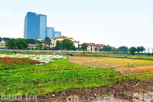 Giải quyết đơn tố cáo, Hà Nội chuyển cơ quan điều tra 3 vụ