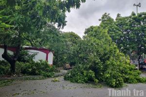 Chính phủ ban hành Nghị quyết triển khai kết luận của Tổng Bí thư, Chủ tịch nước về phòng, chống thiên tai