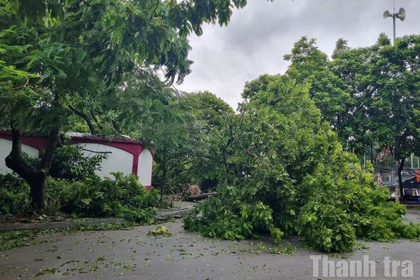 Chính phủ ban hành Nghị quyết triển khai kết luận của Tổng Bí thư, Chủ tịch nước về phòng, chống thiên tai