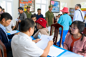Khơi thông quyền sử dụng đất, tạo đà phát triển đảo Bích Đầm