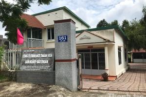 Chấn chỉnh công tác quản lý đất đai, bảo vệ rừng tại Công ty TNHH MTV Lâm nghiệp Bảo Thuận