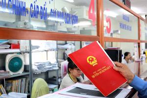 Đất chuyển nhượng, sử dụng ổn định lâu năm nhưng mất giấy tờ gốc, có được cấp sổ đỏ?