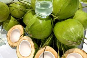 Đẩy mạnh cấp mã số vùng trồng để nông sản vươn xa