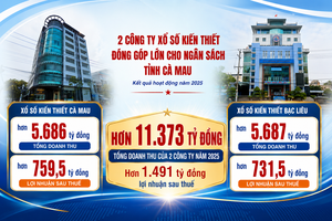 Cà Mau: Tiếp tục nâng cao chất lượng công tác giám sát vốn Nhà nước tại doanh nghiệp