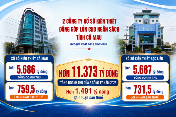Cà Mau: Tiếp tục nâng cao chất lượng công tác giám sát vốn Nhà nước tại doanh nghiệp
