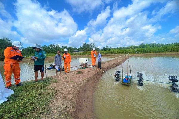 Tai nạn điện trong dân: Hậu quả khôn lường từ những sự chủ quan