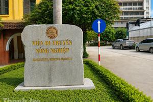 Thanh tra Hưng Yên: Yêu cầu khẩn trương khắc phục vi phạm trong quản lý, sử dụng đất tại Trạm thực nghiệm Văn Giang