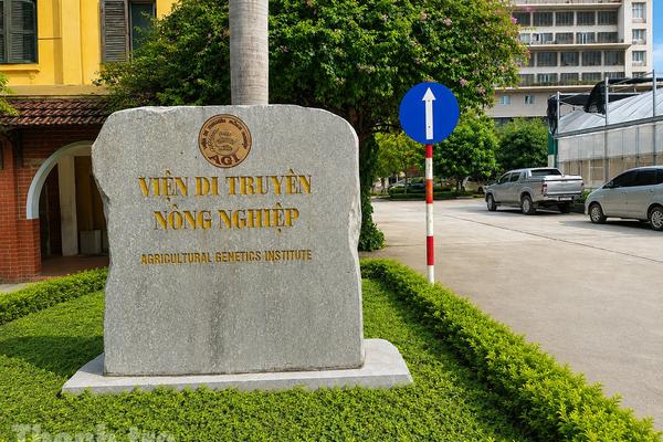 Thanh tra Hưng Yên: Yêu cầu khẩn trương khắc phục vi phạm trong quản lý, sử dụng đất tại Trạm thực nghiệm Văn Giang