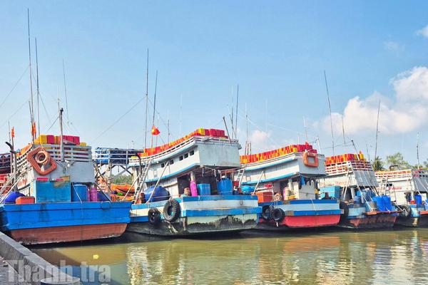An Giang tăng cường kiểm soát đội tàu, xử lý nghiêm vi phạm IUU