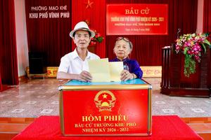 Hơn 357.000 cử tri Quảng Ninh đã đi bầu trưởng thôn, bản, khu phố
