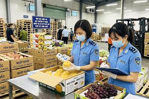 Từ ngày 1/9, triển khai phân cấp kiểm tra an toàn thực phẩm đối với thực phẩm nhập khẩu