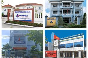 Đồng Tháp khẩn trương cơ cấu lại vốn nhà nước tại doanh nghiệp
