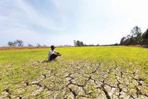 El Nino dự báo rất mạnh: Phòng chống hạn hán, xâm nhập mặn theo kịch bản rủi ro rất cao