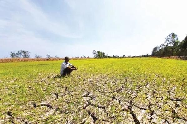 El Nino dự báo rất mạnh: Phòng chống hạn hán, xâm nhập mặn theo kịch bản rủi ro rất cao