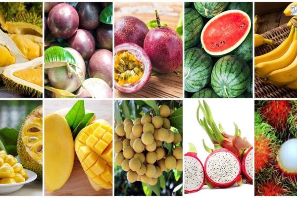 Sau “trái cây vua”, bất ngờ với loại quả đứng thứ 2 về kim ngạch xuất khẩu