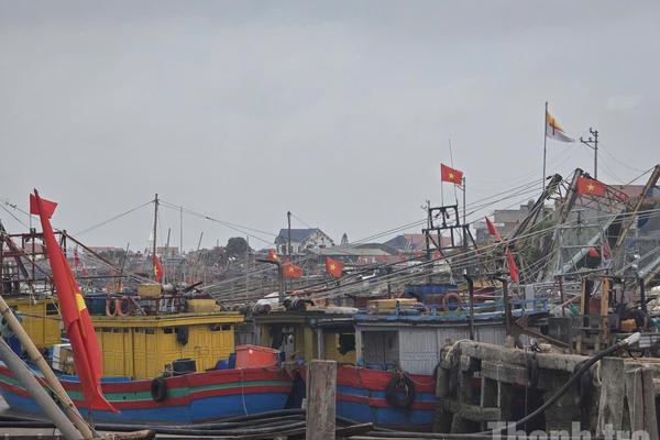 Thanh Hóa siết quản lý tàu cá, quyết liệt khắc phục khuyến nghị IUU
