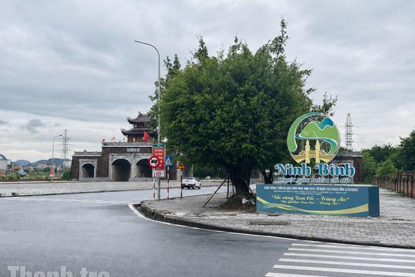 Ninh Bình rà soát 11 cơ sở nhà, đất dôi dư để phát triển nhà ở cho thuê