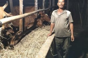 Chỉ thị 39 của Ban Bí thư: Động lực mới nâng cao hiệu quả tín dụng chính sách ở Đắk Lắk