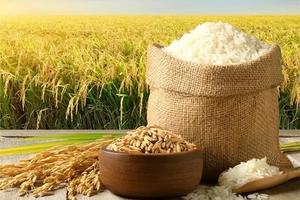 Xuất khẩu gạo đạt khoảng 5,5 triệu tấn, trị giá hơn 2,6 tỉ USD trong 7 tháng