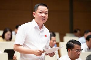 Đại biểu Quốc hội hiến kế chặn thổi giá, thao túng thị trường bất động sản