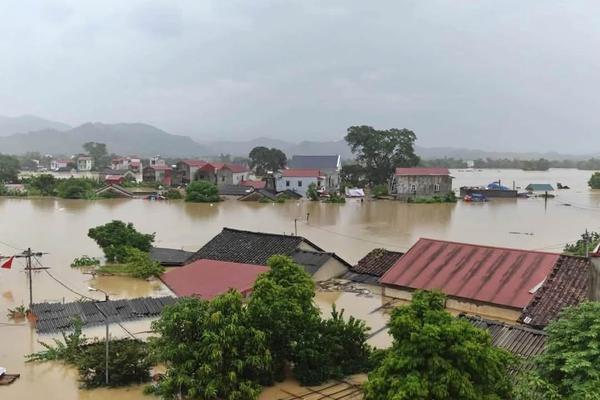 Bộ Y tế:  Trực cấp cứu 24/24h khi xảy ra mưa lũ