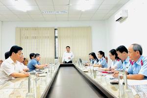 Cà Mau: Vì sao một dự án trăm tỷ vẫn "bất động" sau gần 2 thập kỷ?
