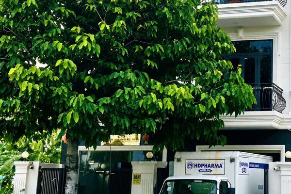 Thanh tra 4 công ty dược tại Cần Thơ, phát hiện nhiều tồn tại