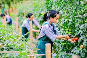 Bài 1: Xuất khẩu lao động: Thu nhập cao, trở về với tay nghề vững vàng