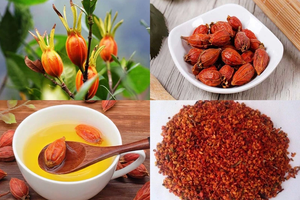 Từ tăng creatinin máu đến suy thận: Vì sao cần can thiệp sớm?