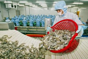 7 tháng: Xuất khẩu thủy sản đạt gần 6,8 tỷ USD, song đà tăng đã chậm lại